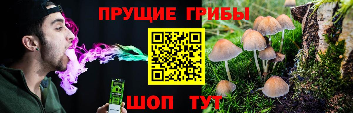 Горно-Алтайск  Галлюциногенные грибы MAGIC MUSHROOMS  Вход с VPN 